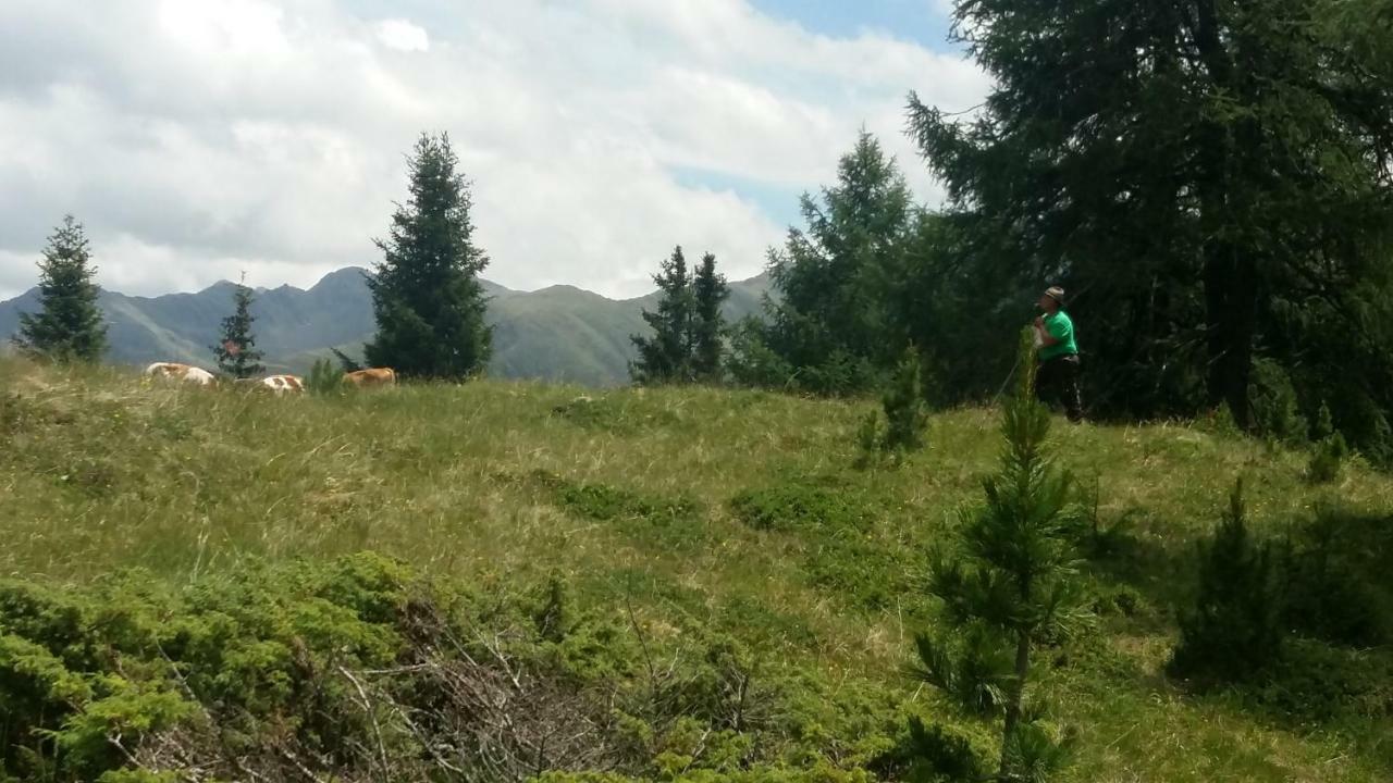 Gabershof Villa Sankt Jakob in Defereggen Exteriör bild